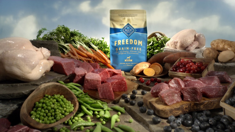 Blue Buffalo Dog Food Review: Is It the Best Choice?